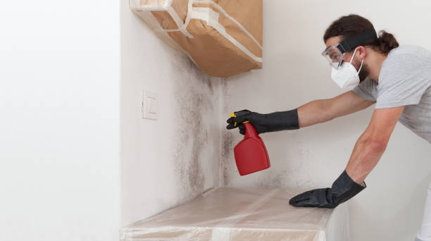 Professional Bathroom Mold Removal technician working in Kenilworth, IL